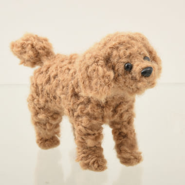 手のひらサイズのプードル