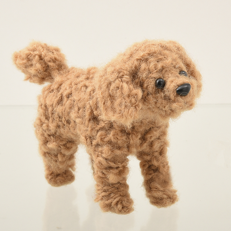 手のひらサイズのプードル