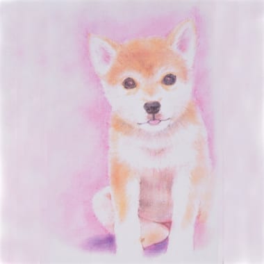 デッサン・油彩・水彩