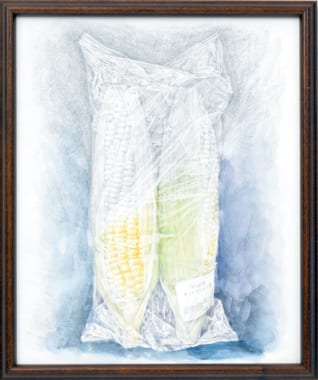 鉛筆デッサン・鉛筆淡彩・油彩・水彩