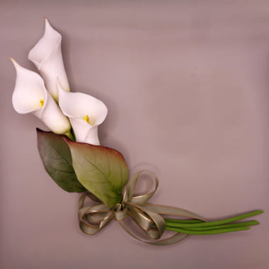 カラーの壁掛け